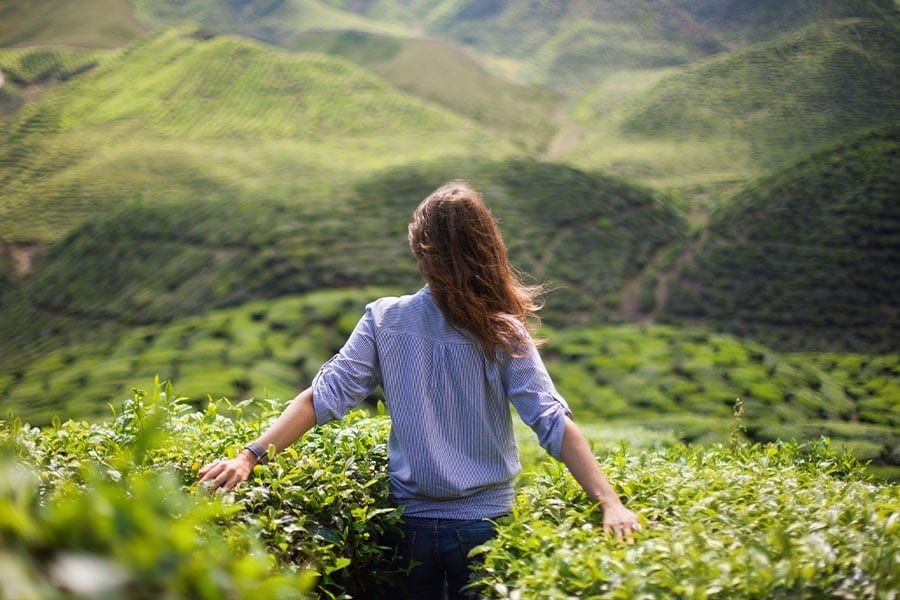A woman walking through green hills